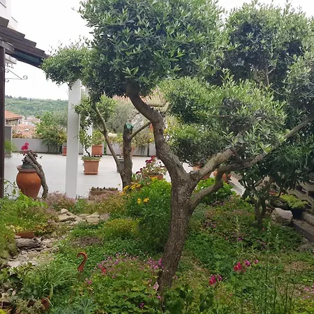 Apartma Tramontana
