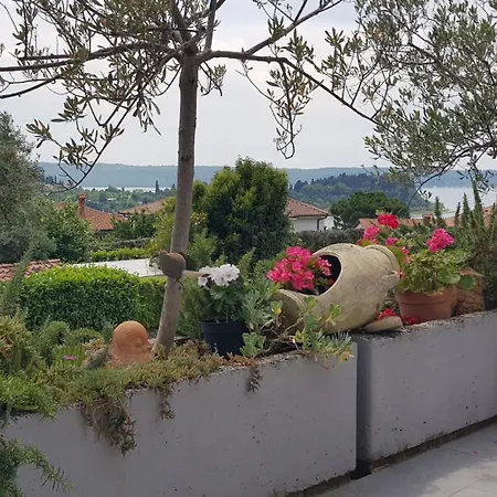 Tramontana Apartma *