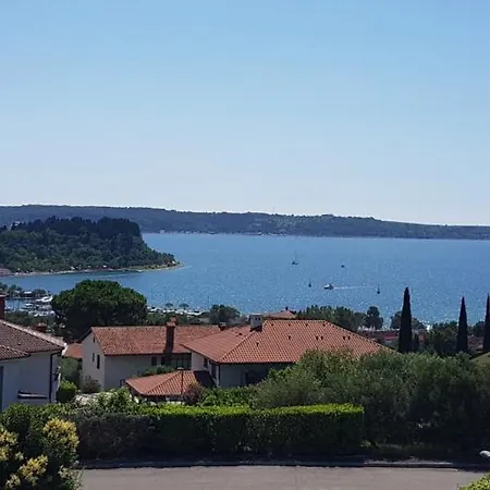 Tramontana * Portoroz