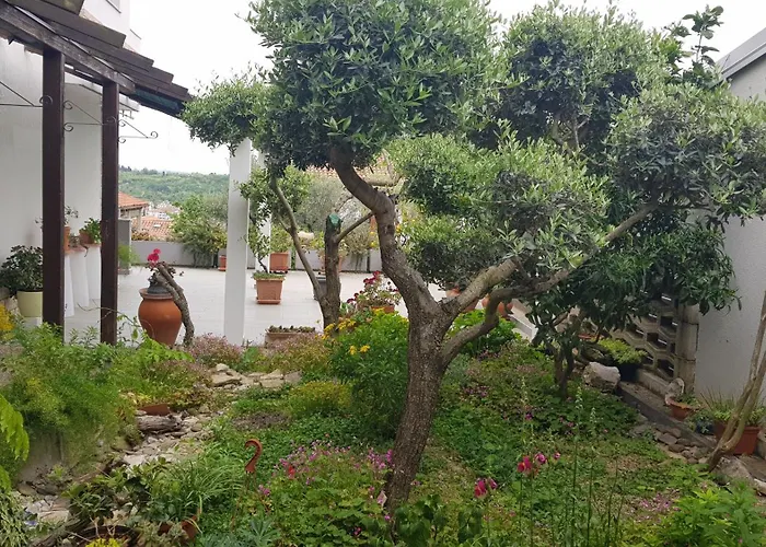 Apartamento Tramontana